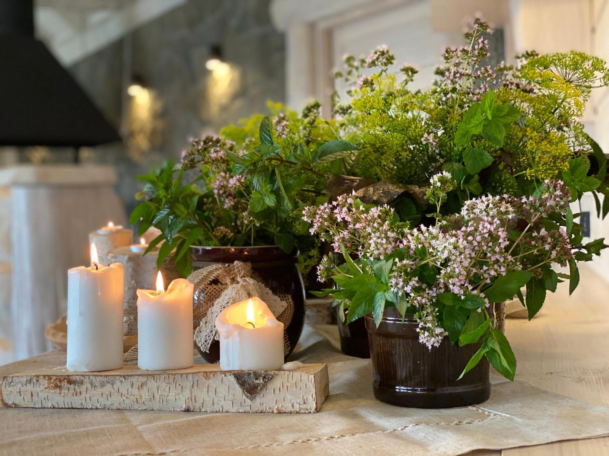 טליץ' Tylickie Wzgorze Spa & Wellness Pensjonat Dla Rodzin Z Dziecmi מראה חיצוני תמונה